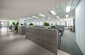 Megatex Office Area